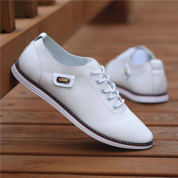 Men's  Leather Business & Casual Shoes, leather shoes , casual shoes, shoes